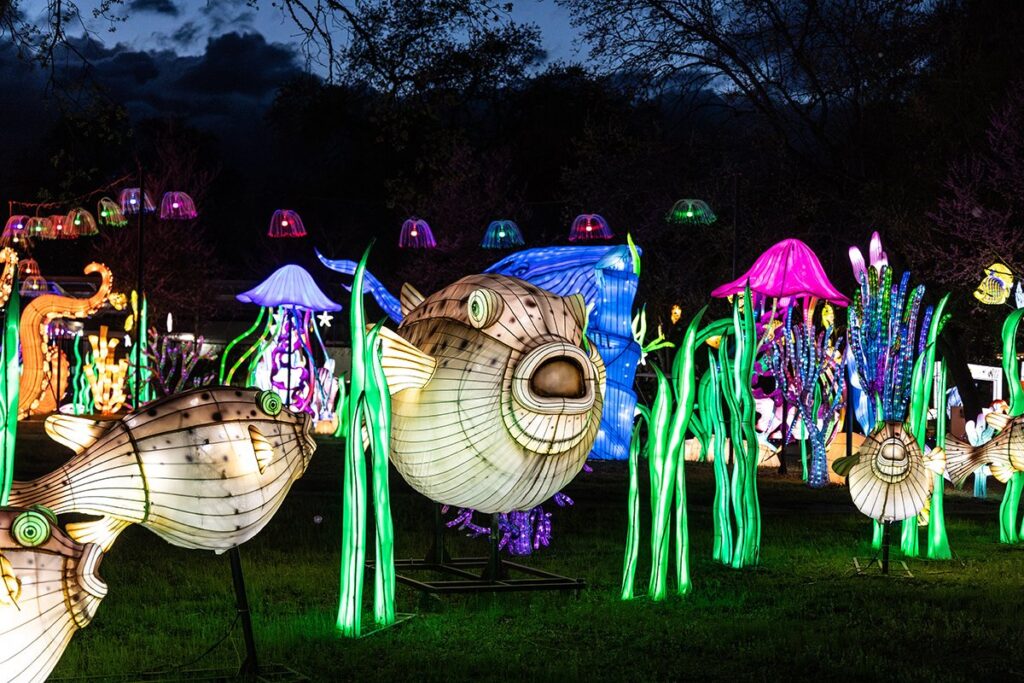 Glowing Wild Turtle Bay Redding California Asian Lantern Festival Sundial Bridge 1024x683