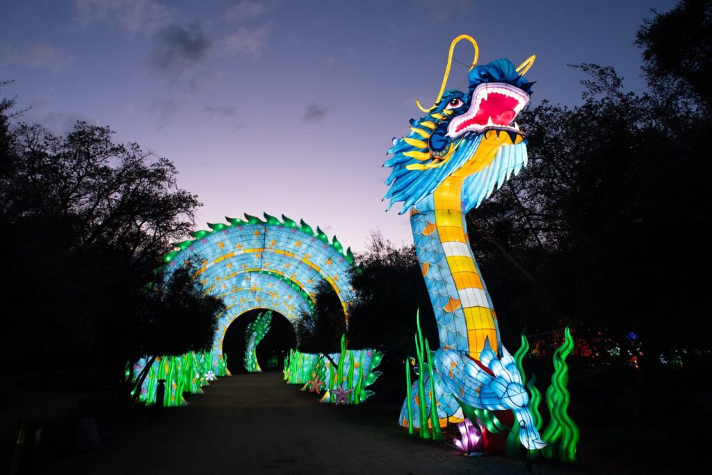 GlowingWildSundialBridgeTurtleBayReddingCalifornia 1024x684